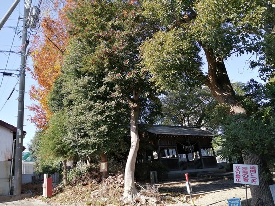 f:id:watto:20191215115548j:plain