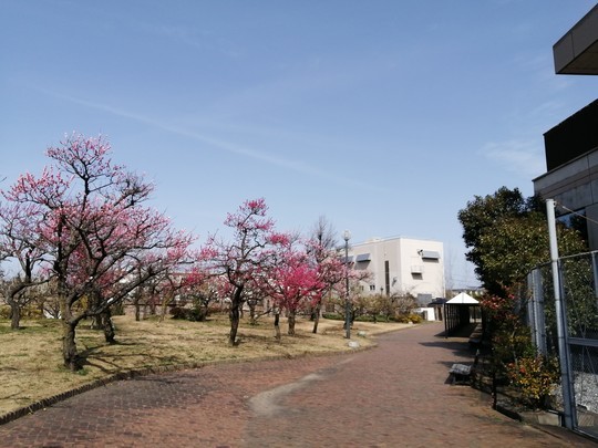 f:id:watto:20200301131720j:plain f:id:watto:20200301131720j:plain