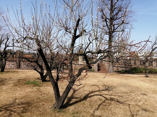 f:id:watto:20200301131819j:plain f:id:watto:20200301131819j:plain