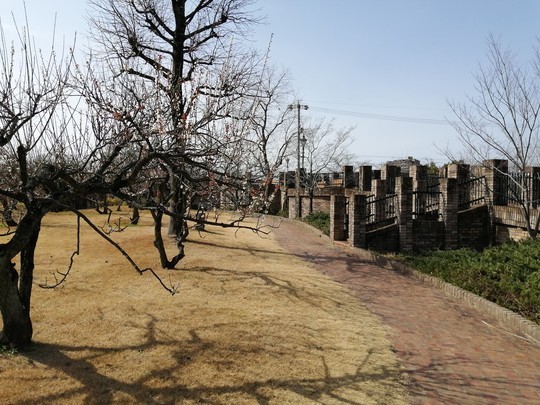 f:id:watto:20200301131846j:plain f:id:watto:20200301131846j:plain