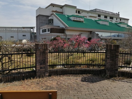 f:id:watto:20200301132047j:plain f:id:watto:20200301132047j:plain