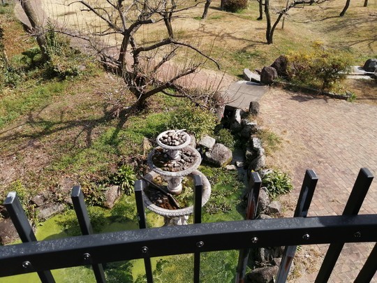 f:id:watto:20200301132056j:plain f:id:watto:20200301132056j:plain