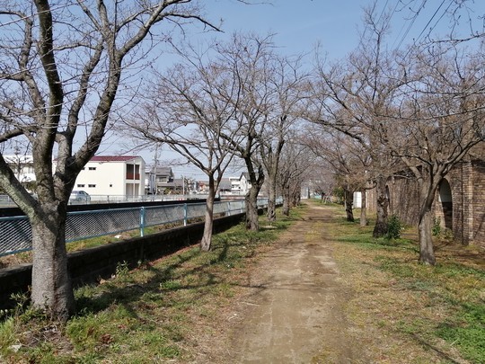 f:id:watto:20200301132159j:plain f:id:watto:20200301132159j:plain