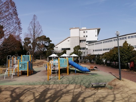 f:id:watto:20200301132500j:plain f:id:watto:20200301132500j:plain