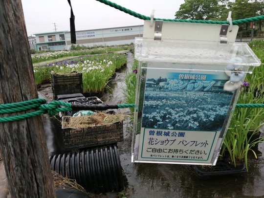 f:id:watto:20200618112528j:plain