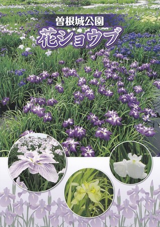 f:id:watto:20200618232930j:plain