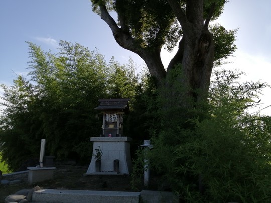 f:id:watto:20200702163905j:plain f:id:watto:20200702163905j:plain