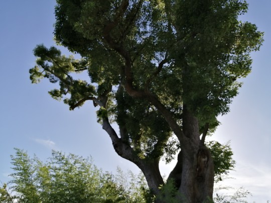 f:id:watto:20200702163908j:plain f:id:watto:20200702163908j:plain