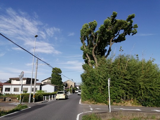 f:id:watto:20200702163942j:plain f:id:watto:20200702163942j:plain