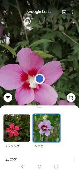 f:id:watto:20200718141011j:plain f:id:watto:20200718141011j:plain