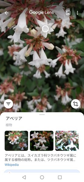 f:id:watto:20200718141500j:plain f:id:watto:20200718141500j:plain