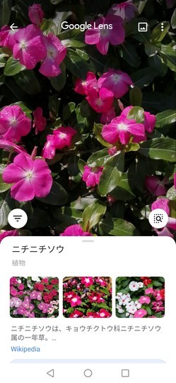 f:id:watto:20201020124355j:plain f:id:watto:20201020124355j:plain