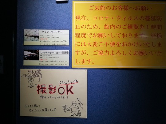 f:id:watto:20201112113359j:plain