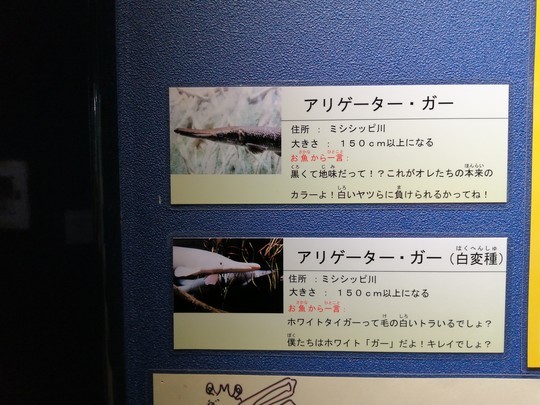 f:id:watto:20201112113457j:plain