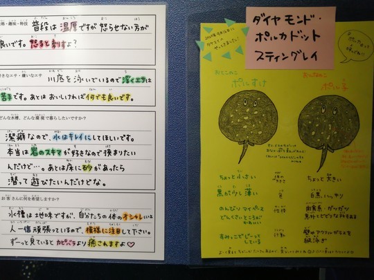 f:id:watto:20201112113541j:plain