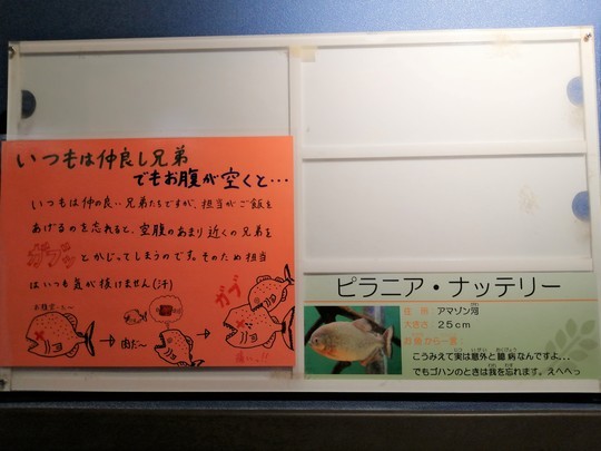 f:id:watto:20201112114146j:plain