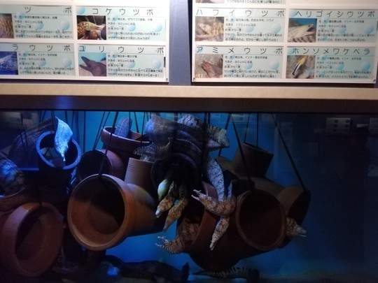 f:id:watto:20201112114218j:plain