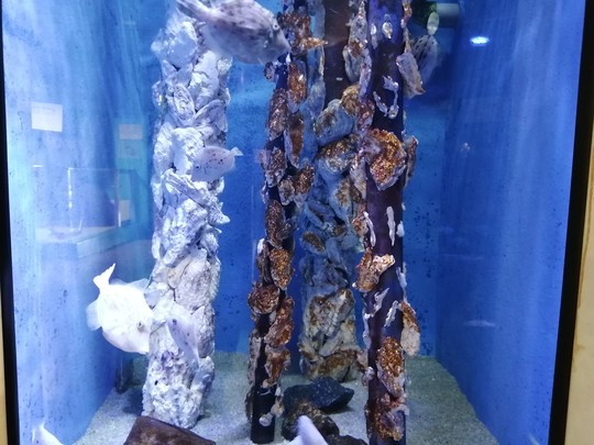 f:id:watto:20201112114945j:plain