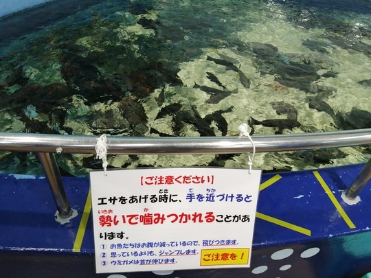 f:id:watto:20201112120936j:plain