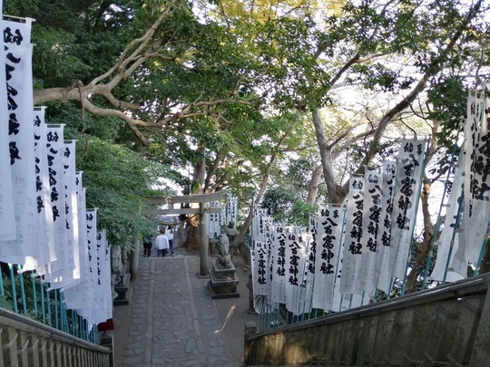 f:id:watto:20201112130936j:plain