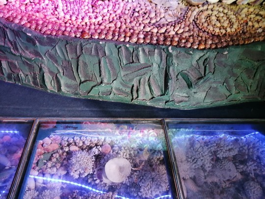 f:id:watto:20201112135732j:plain