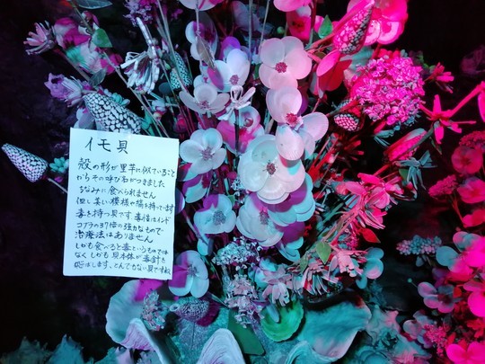 f:id:watto:20201112135852j:plain
