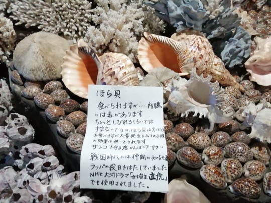f:id:watto:20201112140315j:plain