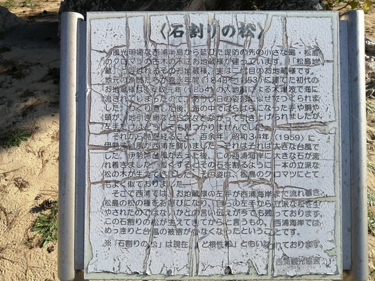 f:id:watto:20201113091255j:plain