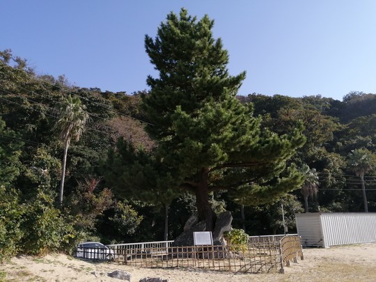 f:id:watto:20201113091458j:plain