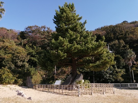 f:id:watto:20201113091512j:plain