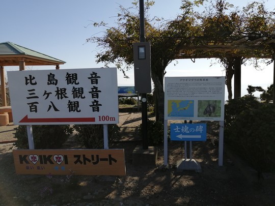 f:id:watto:20201113100214j:plain