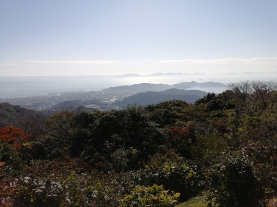 f:id:watto:20201113100304j:plain