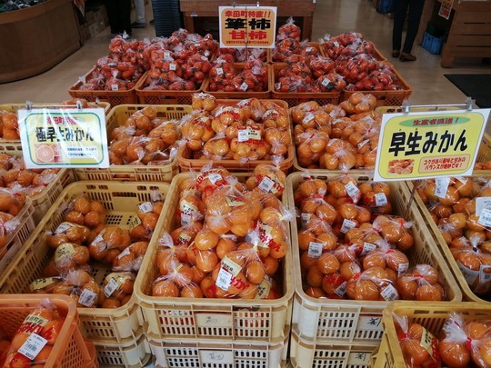 f:id:watto:20201113105018j:plain