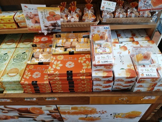 f:id:watto:20201113105454j:plain