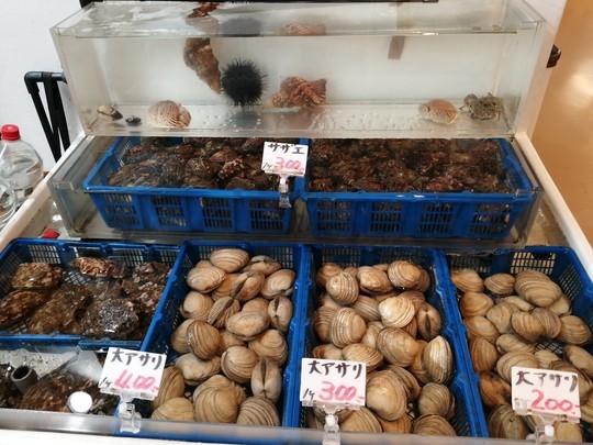 f:id:watto:20201113114819j:plain