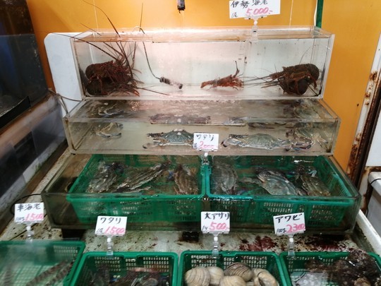 f:id:watto:20201113114840j:plain