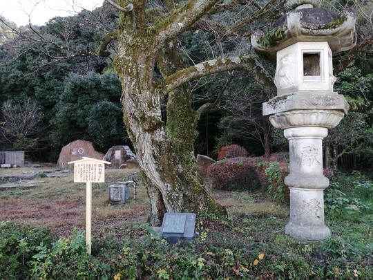 f:id:watto:20201126114215j:plain