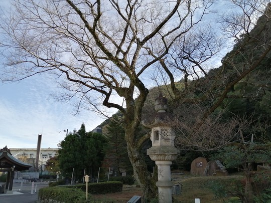 f:id:watto:20201126114242j:plain