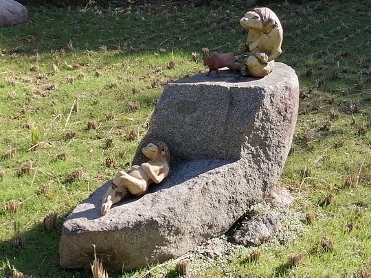 f:id:watto:20201126114610j:plain