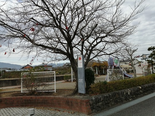f:id:watto:20201210122425j:plain