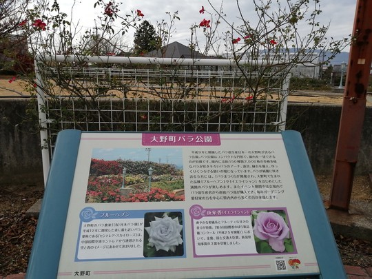 f:id:watto:20201210122440j:plain