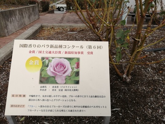 f:id:watto:20201210122547j:plain