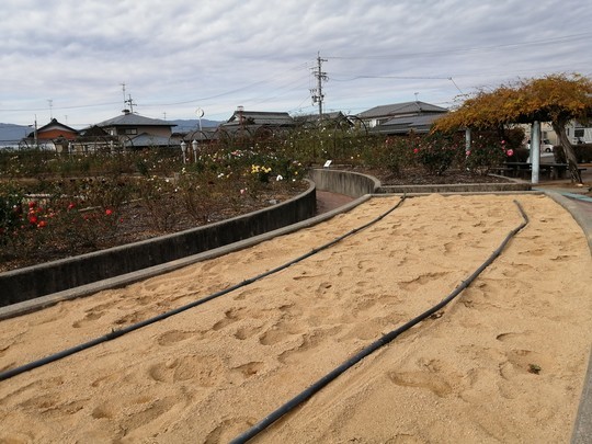 f:id:watto:20201210122854j:plain