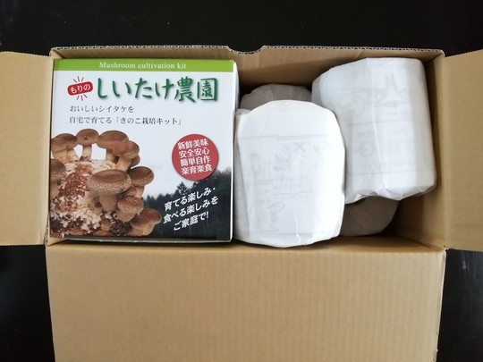 f:id:watto:20210123145613j:plain