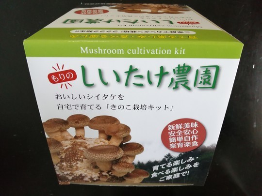 f:id:watto:20210123150650j:plain