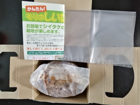 f:id:watto:20210123151418j:plain