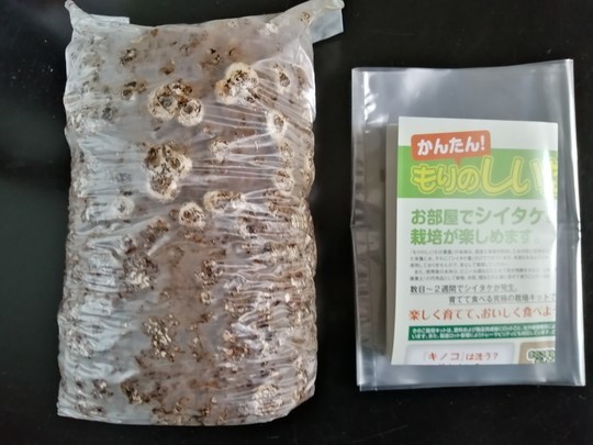 f:id:watto:20210123151448j:plain