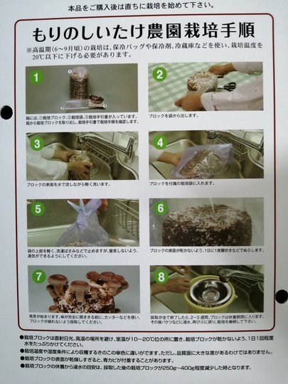 f:id:watto:20210123151936j:plain