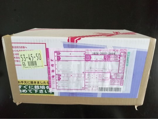 f:id:watto:20210123174254j:plain