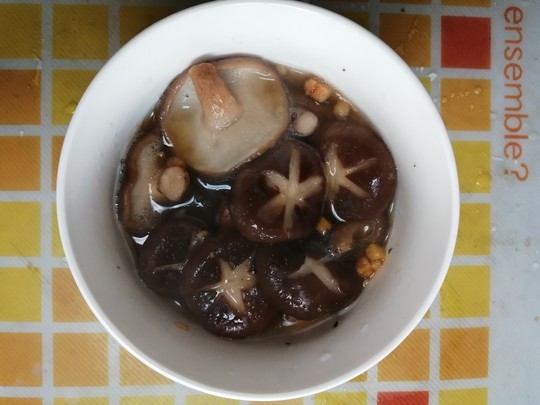 f:id:watto:20210207114204j:plain